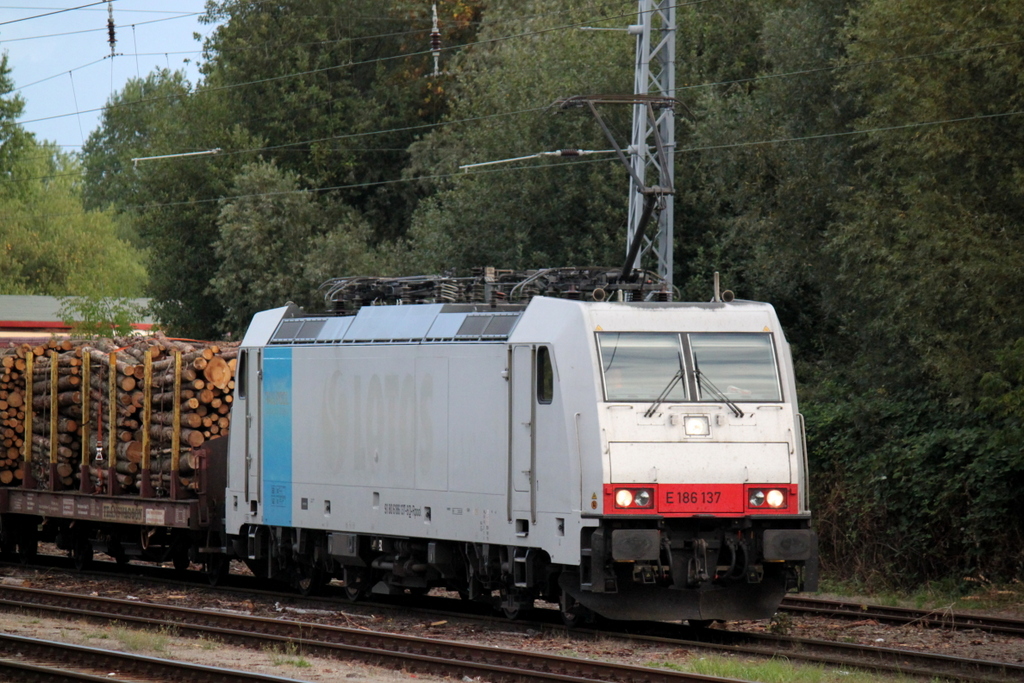 186 137-6 stand am 01.09.2013 mit dem Holzzug von Rostock-Bramow nach Stendal-Niedergrne zur Abfahrt im Bahnhof Rostock-Bramow bereit. 