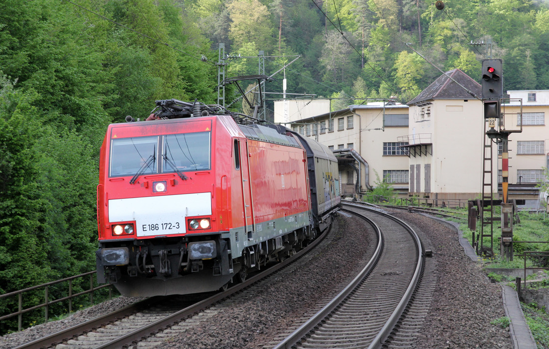 186 172 wurde am 27. April 2018 in Neidenfels in der Pfalz fotografiert.