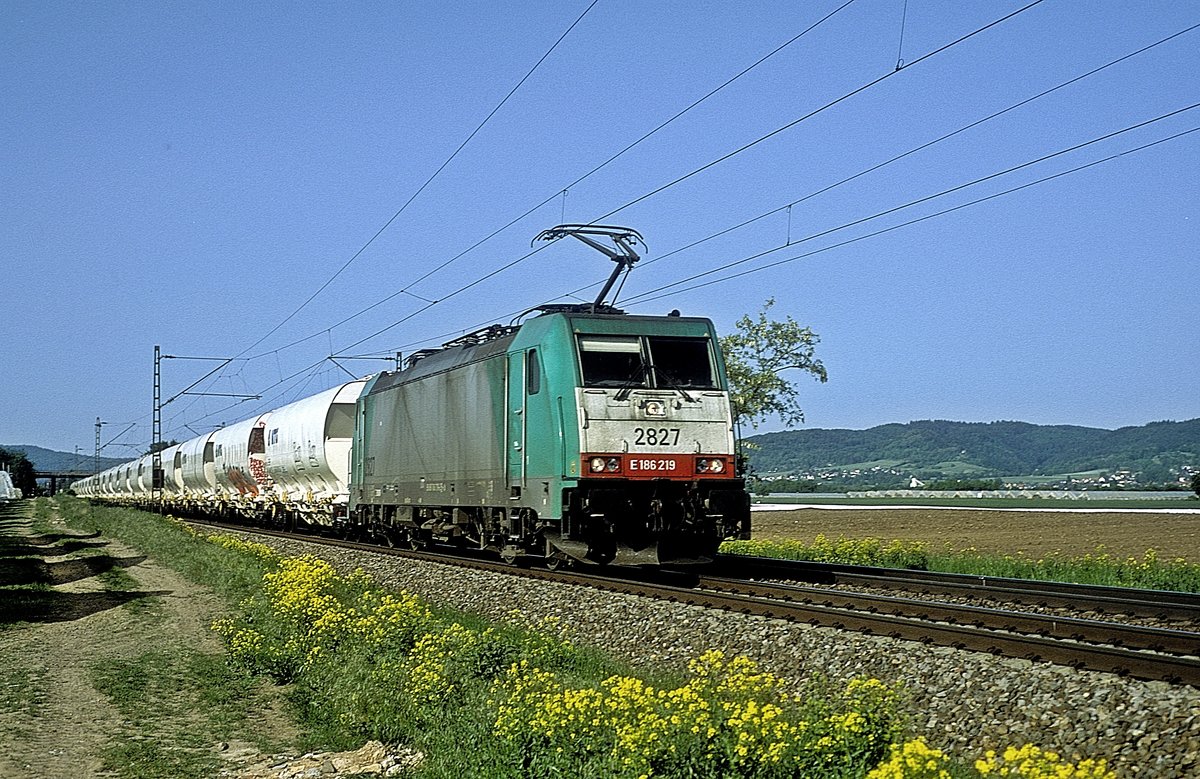 186 219  bei Ladenburg  05.05.18