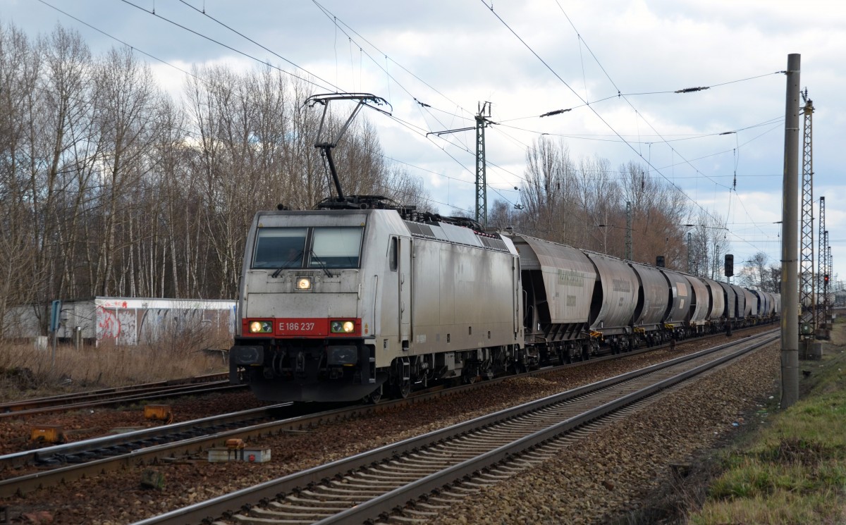 186 237 beförderte am 22.02.14 einen Getreidezug von Bad Schandau kommend durch Leipzig-Thekla Richtung Mockau.