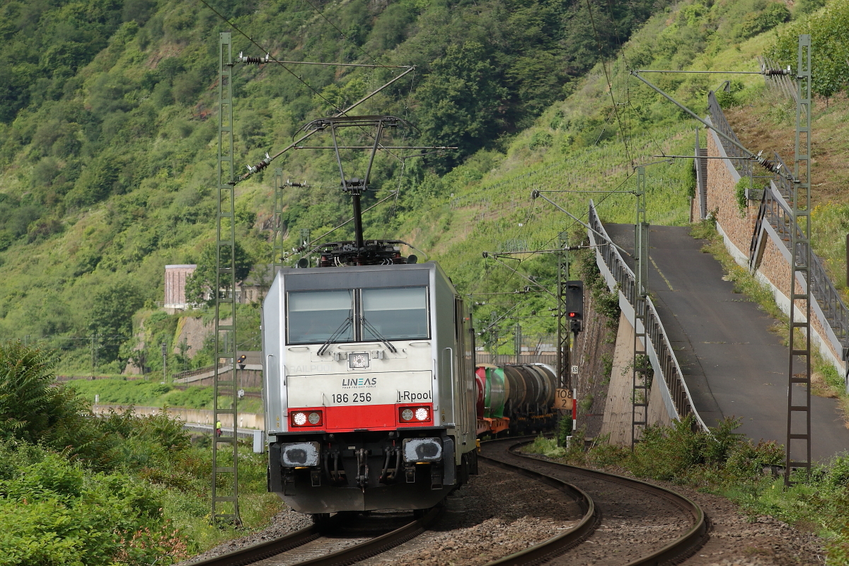 186 256 am 16.06.2024 in Boppard