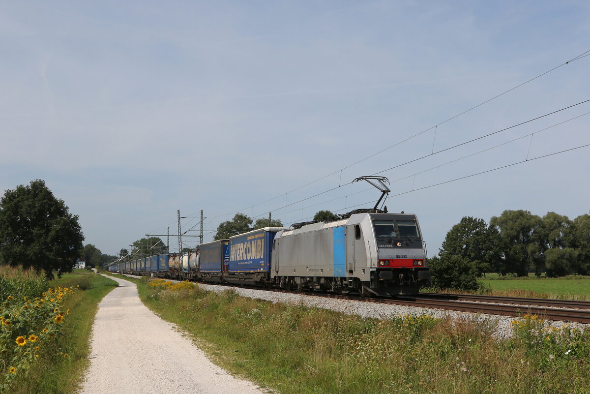 186 282 mit dem  Intercombi-KLV  am 20. August 2021 bei Übersee am Chiemsee.