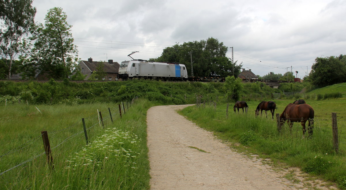 186 296-0 von Lineas/Railpool kommt aus Richtung Aachen-West und fährt die Gemmenicher-Rampe hoch mit einem  gemischten Güterzug aus Wien-Freudenau-Hafen(A) nach Antwerpen-D.S.(B) und fährt gleich in den Gemmenicher-Tunnel hinein. 
Aufgenommen von einem Weg in Reinartzkehl.
Bei schönem Frühlingswetter am 30.5.2019.