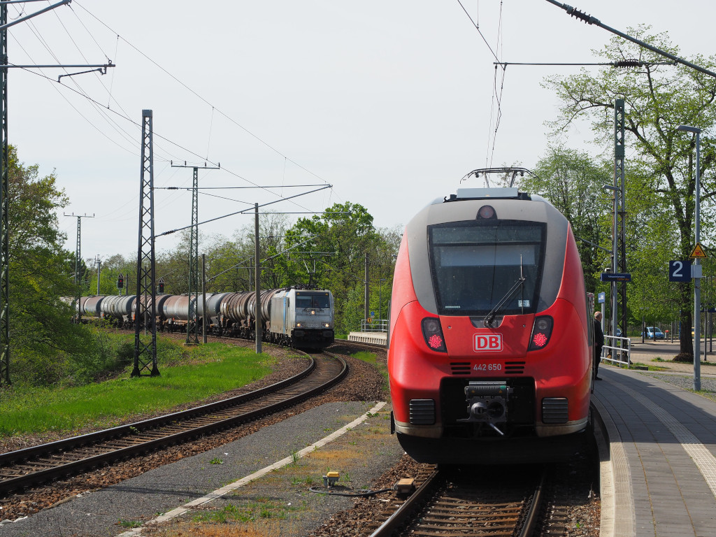 186 429 von Railpool und vermietet an CTL Logistics GmbH fährt im Gegenlicht im Bahnhof Elsterwerda-Biehla an 442 650 als leerer Zug in der Verbindungskurve vorbei.

Elsterwerda, der 12.04.2024