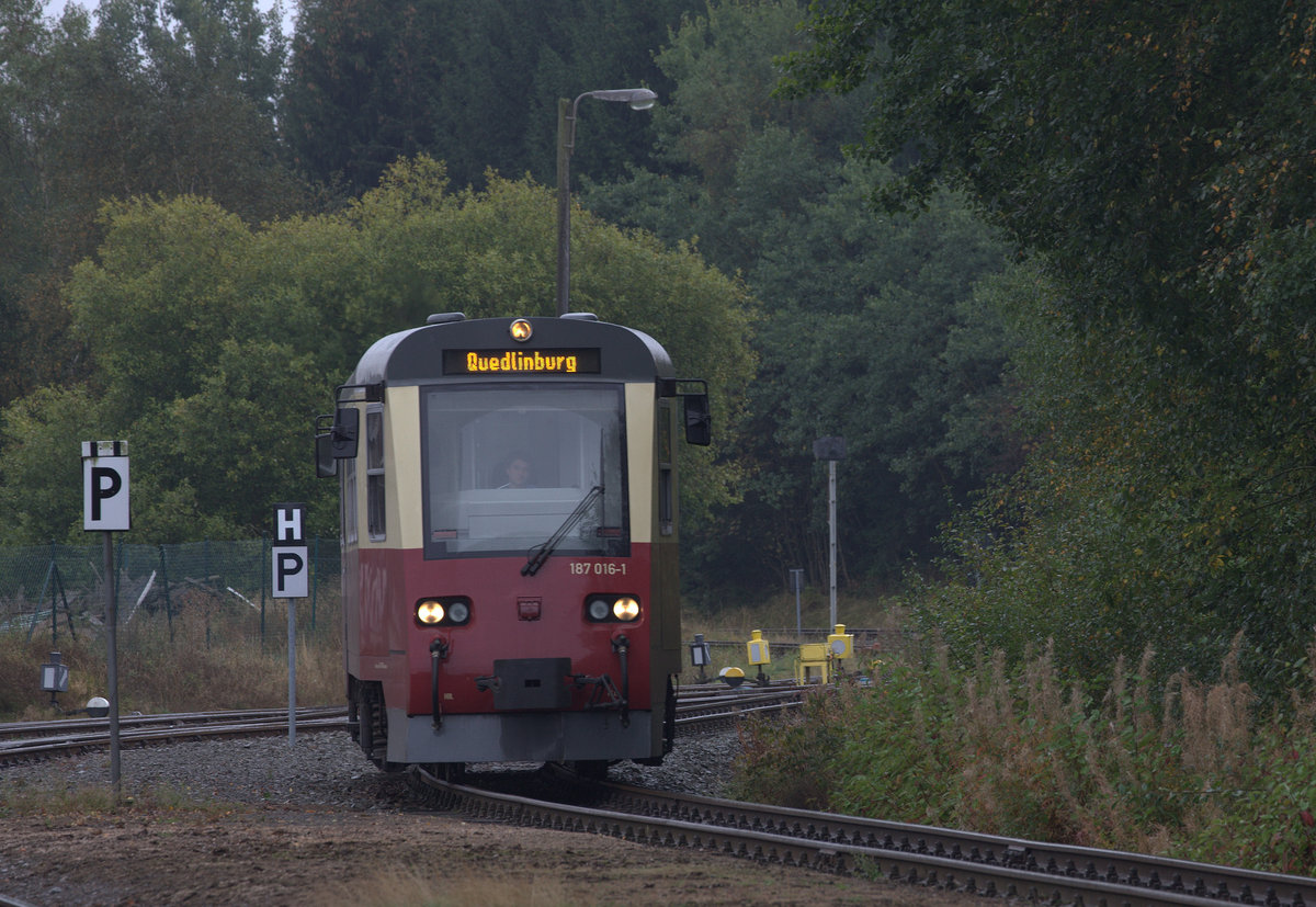 187 016-1 aus Eisfelder Talmühle kommend, fährt in den Bahnhof Steige ein.
Die gelb gekennzeichneten Weichen sind wohl Rückfallweichen (?) 01.10.2016 13:21 Uhr.