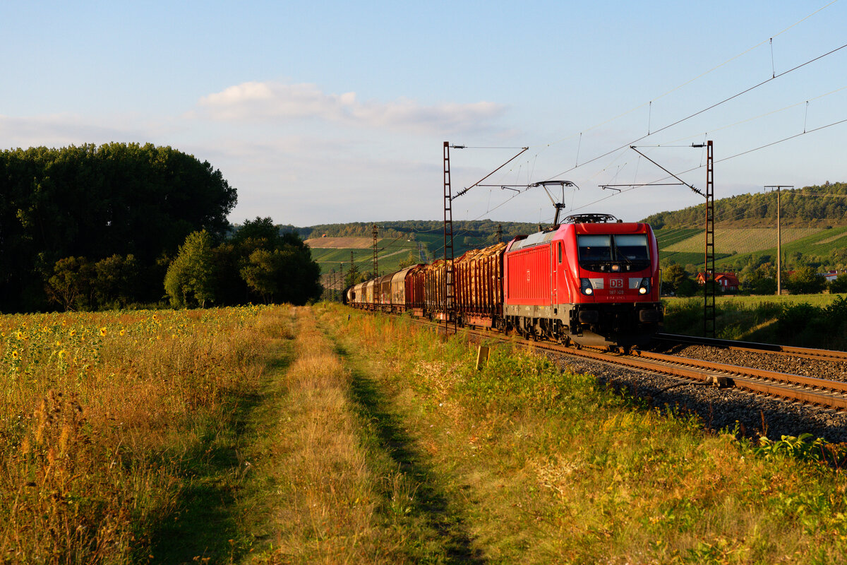 187 109 DB Cargo mit einem gemischten Güterzug bei Retzbach-Zellingen Richtung Würzburg, 09.09.2020