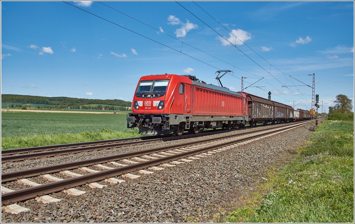 187 147-4 / Friedland / 15.05.2019