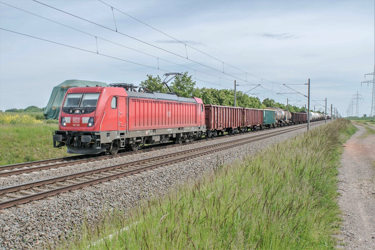 187 165-5 gesehen am 01.06.2021 bei Braschwitz.