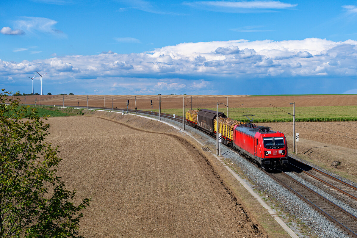 187 193 DB Cargo mit einem modellbahngerechtem gemischten Güterzug bei Gollhofen Richtung Ansbach, 02.09.2020