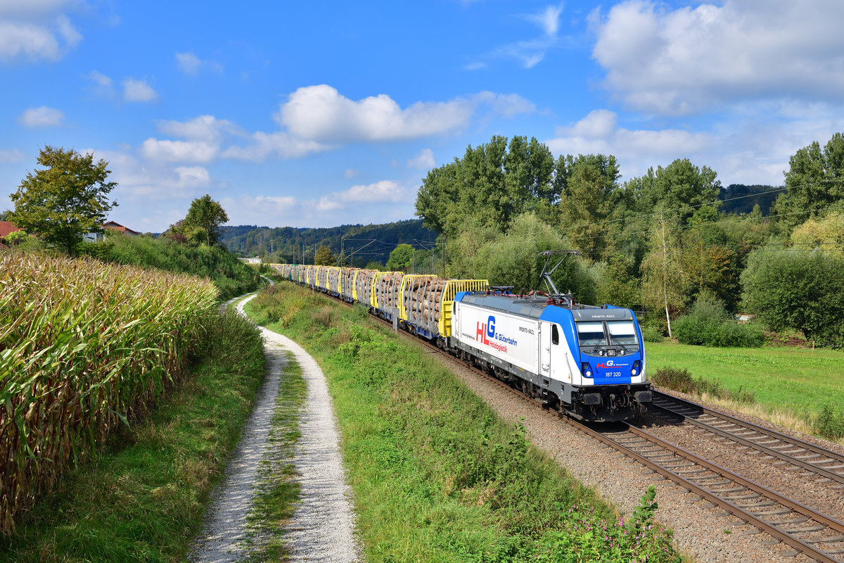 187 320 mit einem Holzzug am 29.09.2020 bei Seestetten.