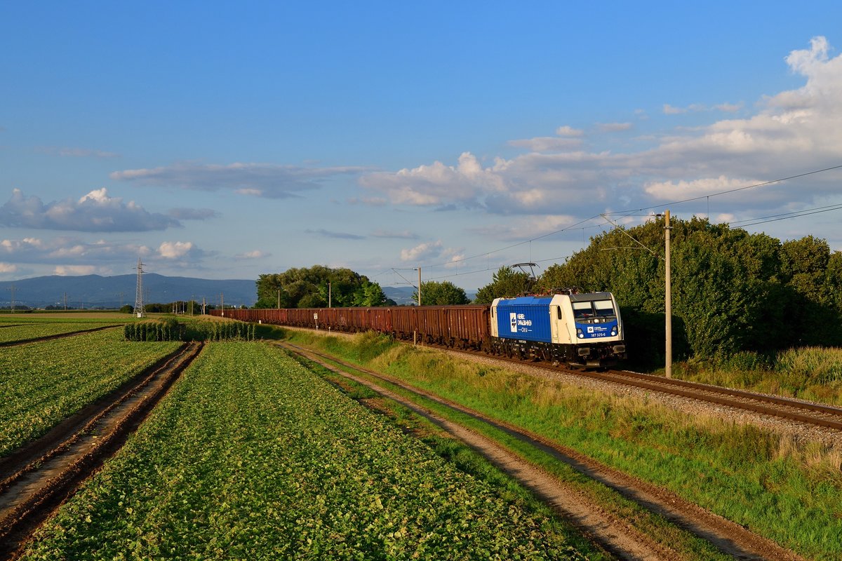 187 325 mit DGS 41134 am 14.08.2019 bei Otzing. 