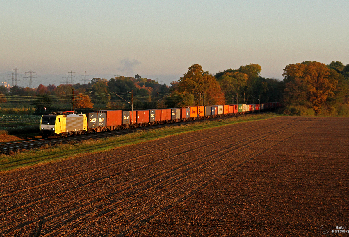 189 203 bei Bornheim am 10.11.2019