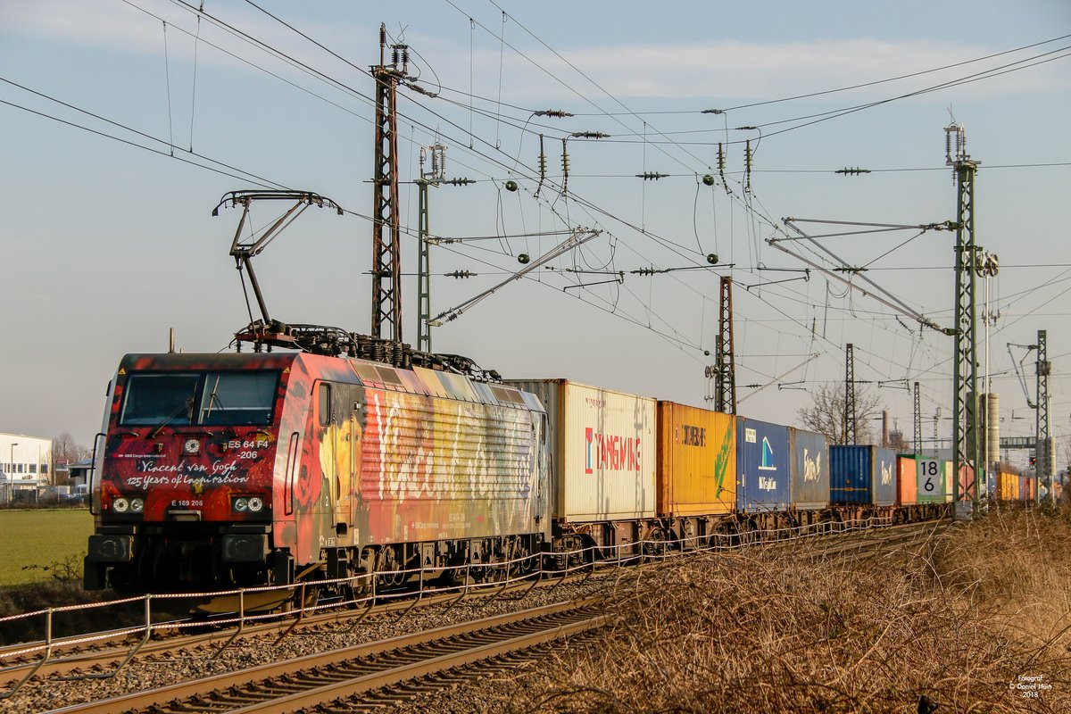 189 206  Vincent van Gogh  in Brühl, am 18.02.2018.