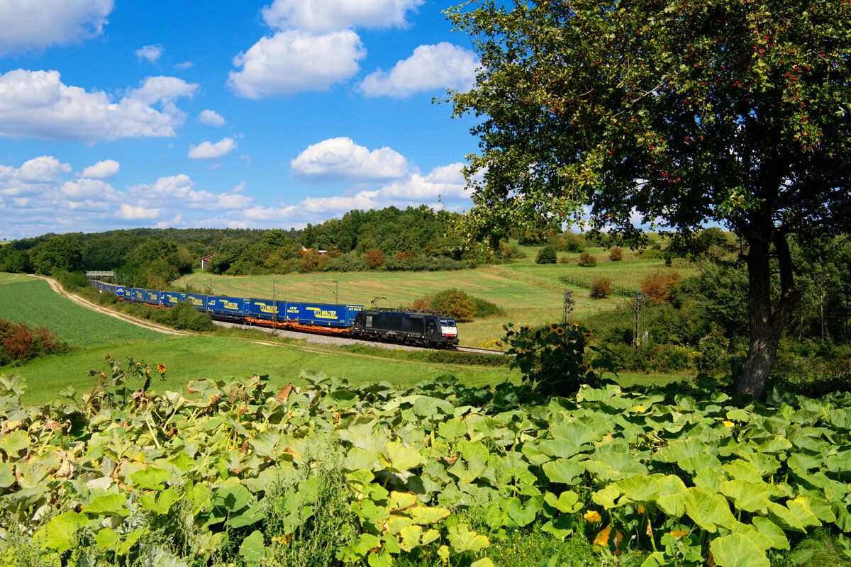 189 208 MRCE/Ecco mit einem LKW-Walter KLV-Zug bei Laaber Richtung Regensburg, 07.09.2020