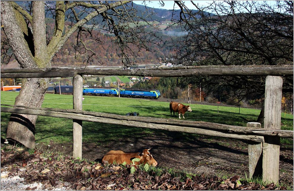 189 842 und 189 846 mit dem  PKP Zug  am 25. Oktober 2013 beim Passieren der Apfelwiese nahe Eichberg. 