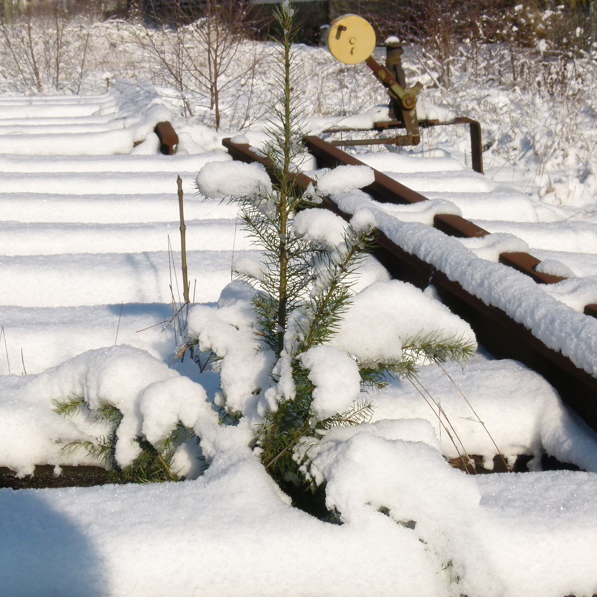 19. Januar 2016, So eine Winterstimmung ist in diesem Jahr noch nicht nachvollziehbar.  Ausgebaute Weiche im Bahnhof Kronach.