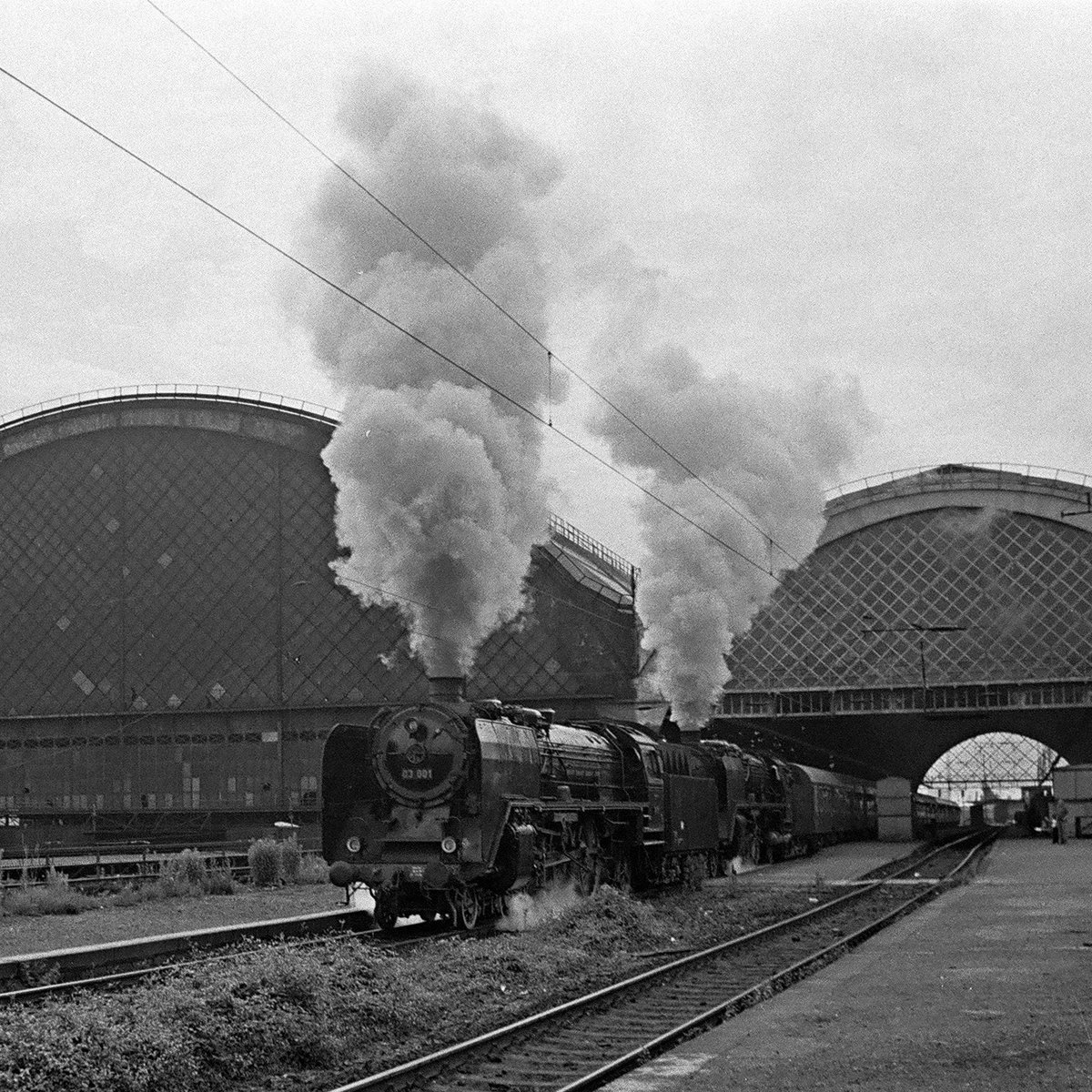 19.06.1982: Am 19. und 20. Juni 1982 fand eine Dampflok-Sonderfahrt des DMV von Dresden
Hbf  über Bischofswerda nach Zittau statt. Dann weiter nach Oybin und über Niedercunnersdorf - Löbau nach Dresden Hbf zurück. Zum Einsatz kamen die Lokomotiven 01 137, 03 001, 38 205, 74 1230 und BR 99.1. Hier die Ausfahrt aus Dresden-Hauptbahnhof. Interessant ist vielleicht auch die Erkenntnis, dass sich die Reichsbahn nach jüngsten Maßstäben vorbildlich um die Erhaltung der Lebensräume von Insekten und Kleintieren bemühte. Das üppige Grün ist hier leider nur dunkelgrau dargestellt. 
