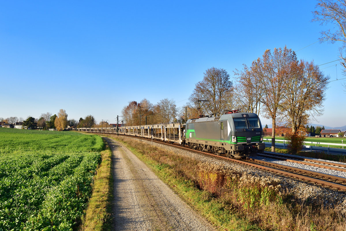 193 201 mit einem leeren Autozug am 07.11.2020 bei Langenisarhofen.