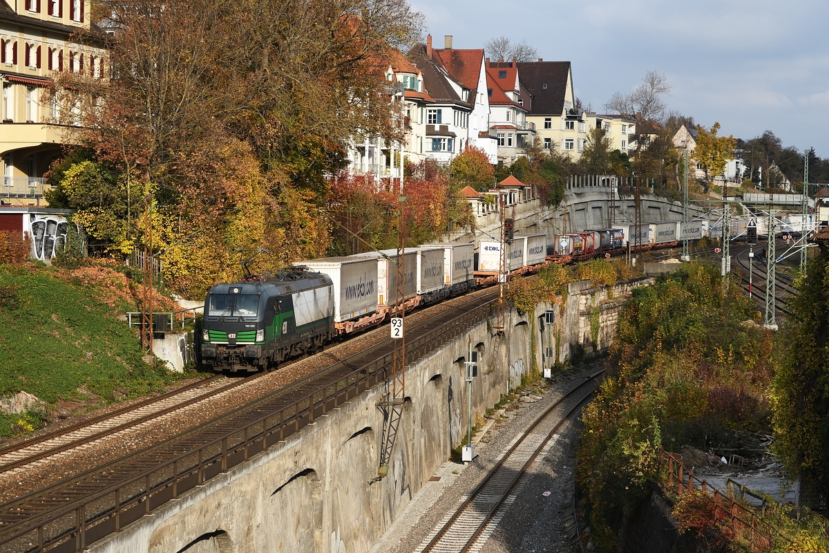 193 202 fährt am 3. November 2018 mit dem ekol in Ulm Rangierbahnhof ein. Für die Weiterfahrt Richtung München wird dort umgesetzt.