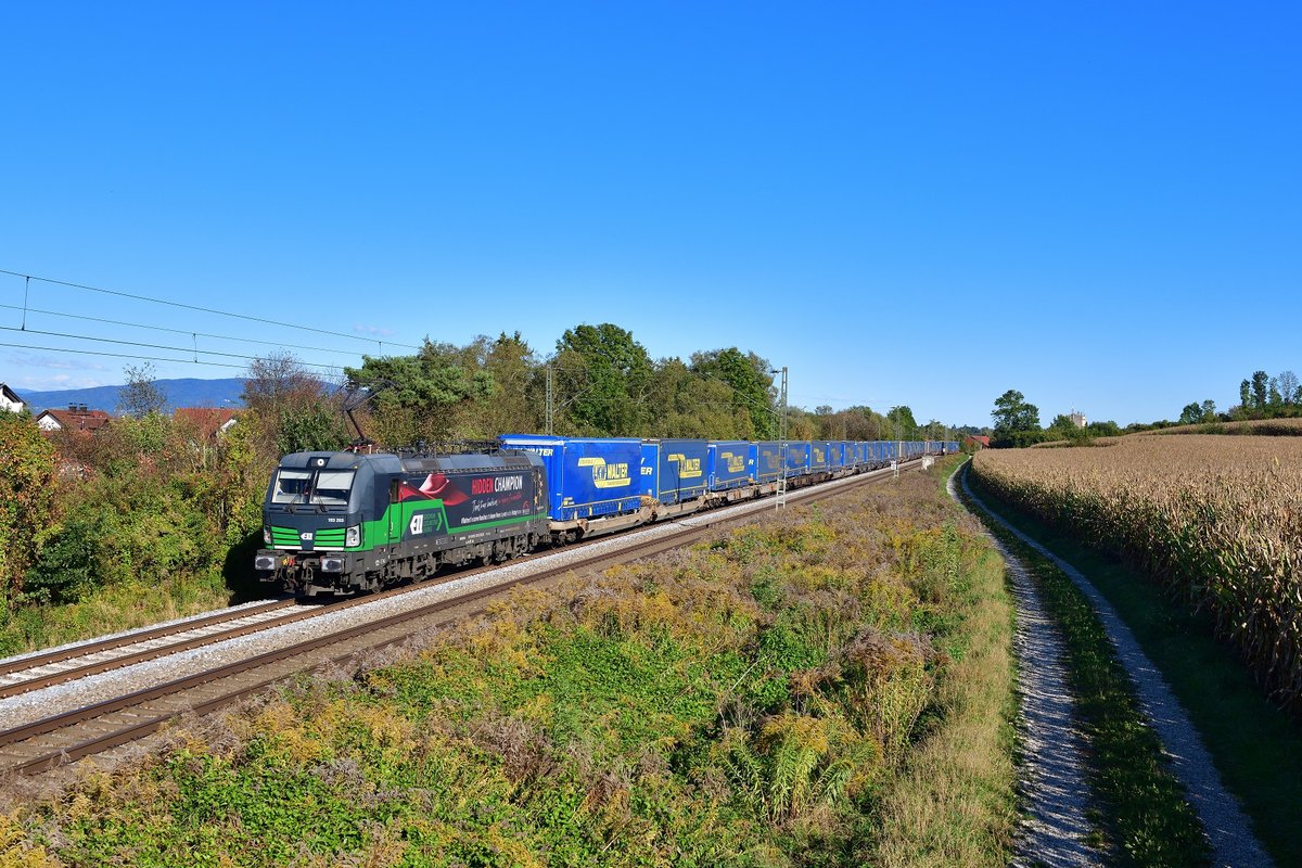 193 203 mit DGS 41160 am 04.10.2020 bei Langenisarhofen.