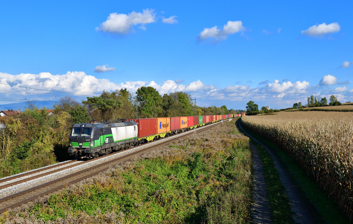 193 210 mit einem Containerzug am 16.10.2021 bei Langenisarhofen.