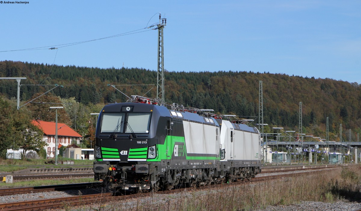 193 213-6 und 193 851-3 in Immendingen 14.10.14