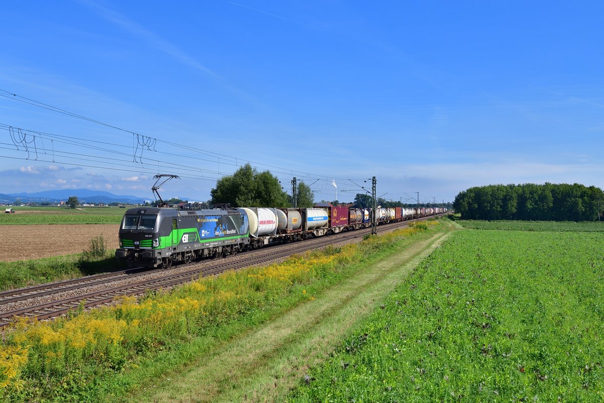 193 213 mit einem KLV am 10.09.2019 bei Stephansposching. 
