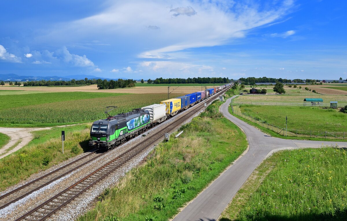 193 213 mit einem KLV am 18.08.2023 bei Stephansposching.