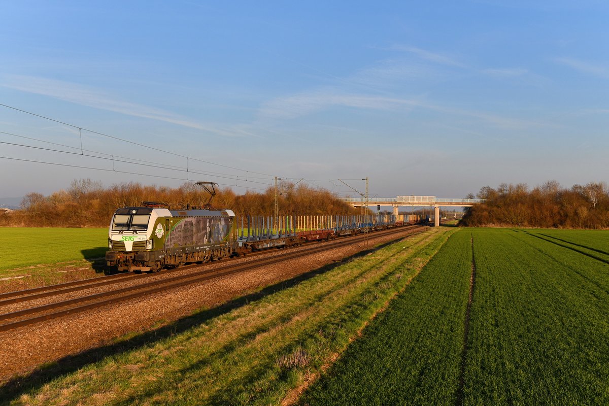 193 218 mit DGS 49194 am 30.03.2019 bei Stephansposching. 