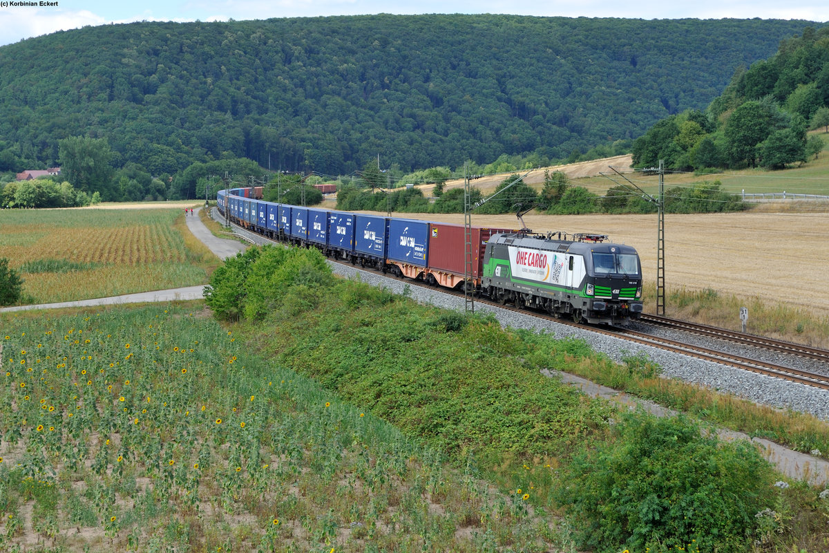193 218 der OHE Cargo mit einem Containerzug bei Harrbach Richtung Würzburg, 23.07.2015