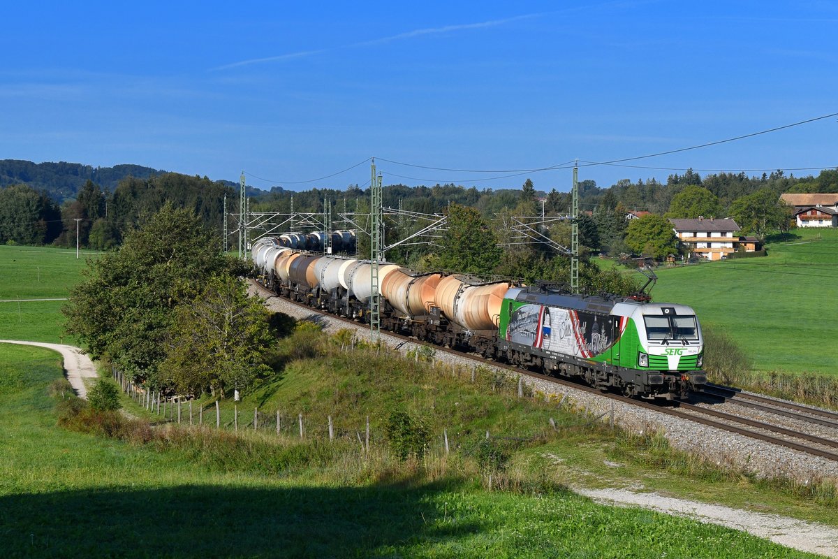 193 219 mit DGS 49879 am 21.09.2018 bei Teisendorf. 