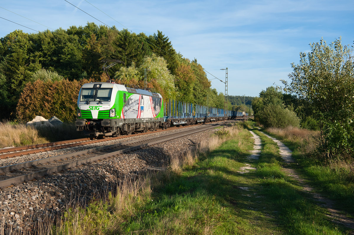 193 219  Stille Nacht, Heilige Nacht  mit einem Leerholzzug bei Postbauer-Heng Richtung Nürnberg Rbf, 11.09.2018