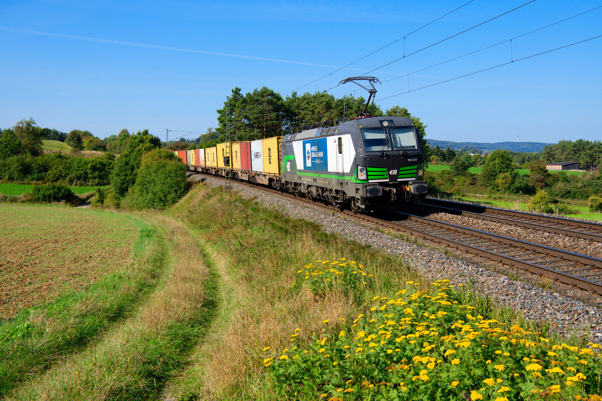 193 223 ELL/WLC mit einem Containerzug bei Parsberg Richtung Regensburg, 14.09.2020