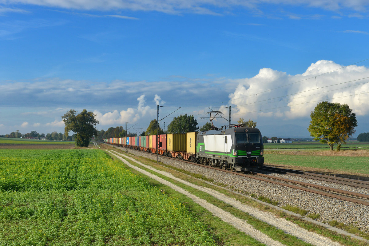 193 223 mit einem Containerzug am 09.10.2015 bei Langenisarhofen. 