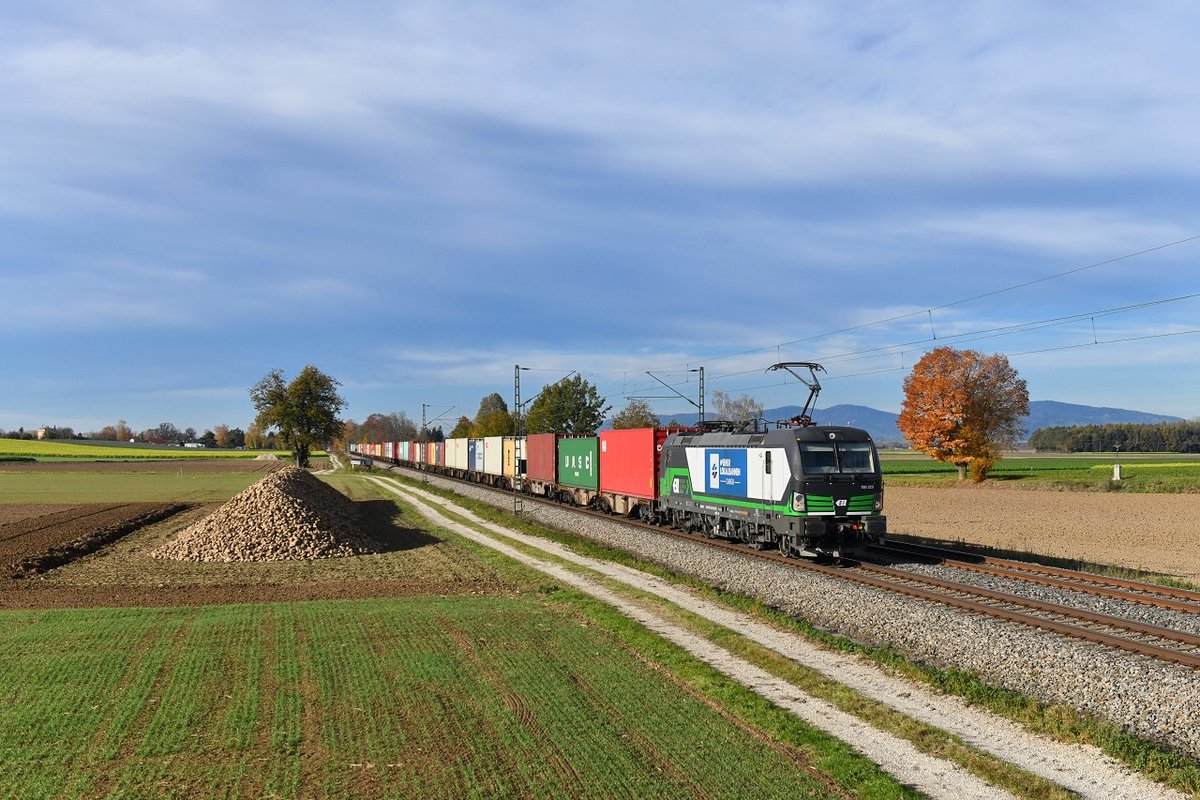 193 223 mit einem Containerzug am 31.10.2018 bei Langenisarhofen. 