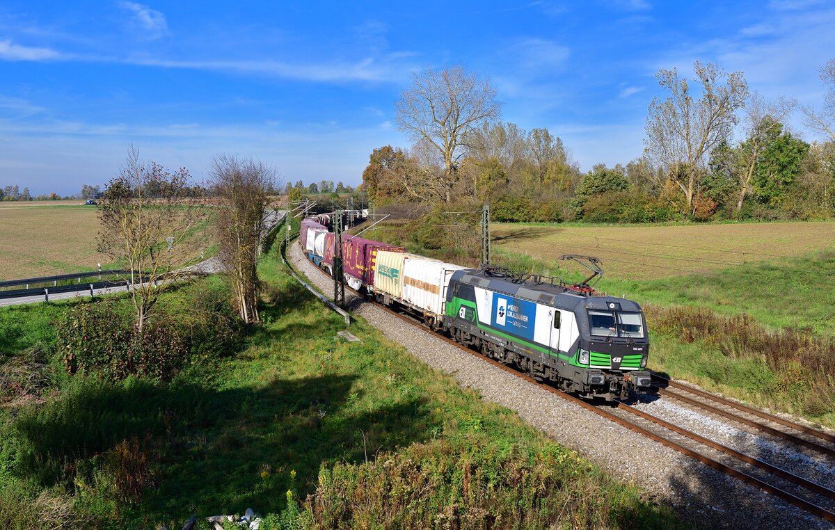 193 224 mit einem KLV am 20.10.2022 bei Langenisarhofen.