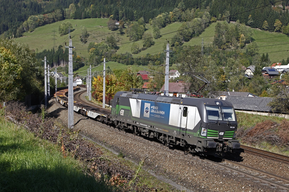 193 225 mit Güterzug bei Rottenmann am 28.09.2017.
