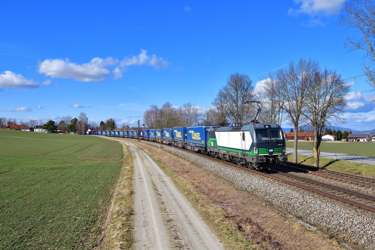 193 234 mit DGS 43945 am 21.02.2020 bei Langenisarhofen.