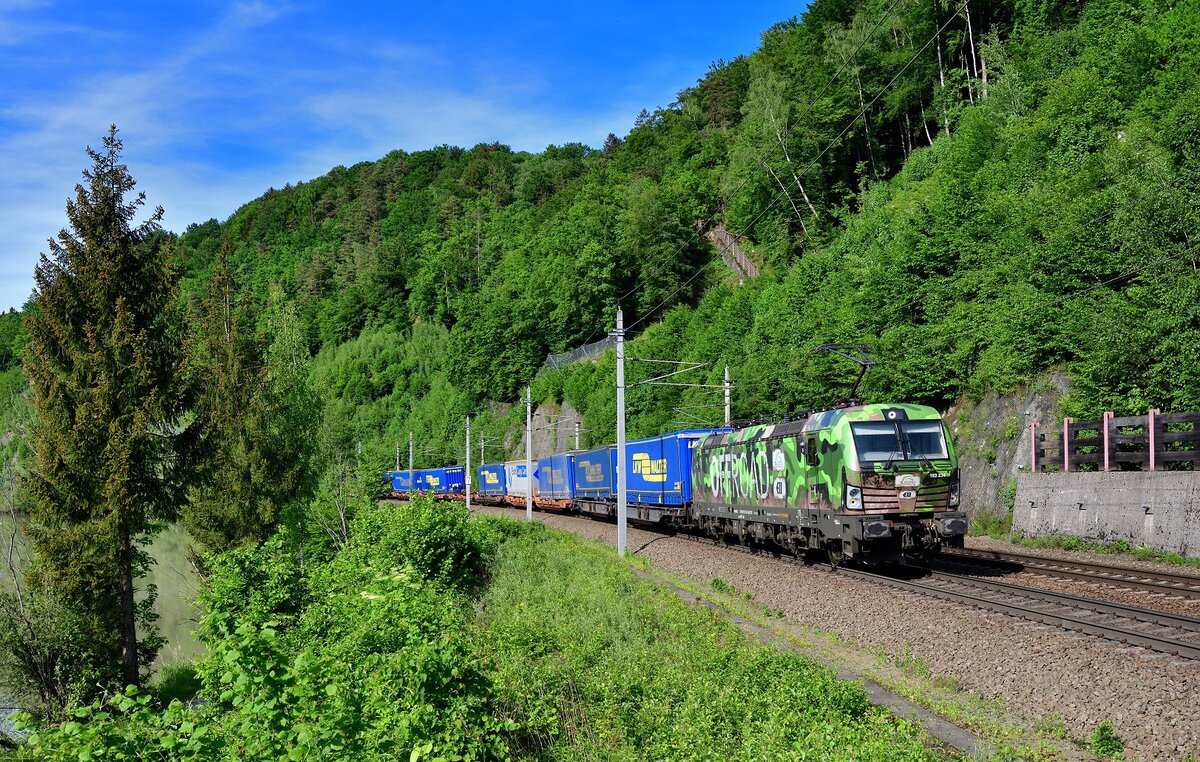 193 234 mit TEC 41161 am 19.05.2022 bei Ingling.