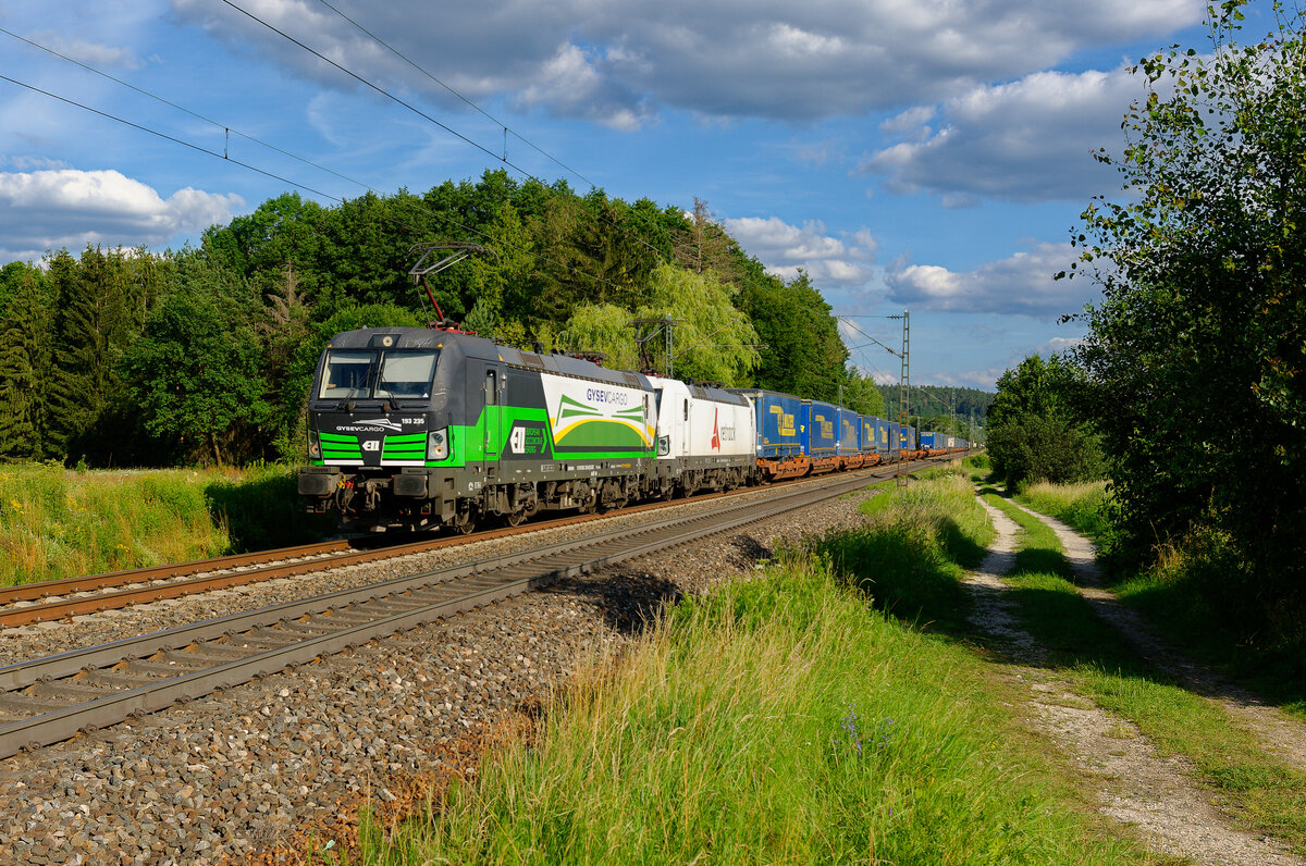 193 235 ELL/GySEV und 193 815 Railpool/VTG Retrack mit einem LKW-Walter KLV-Zug bei Postbauer-Heng Richtung Nürnberg, 13.07.2020