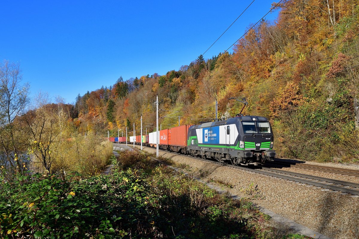 193 236 mit TEC 43933 am 05.11.2020 bei Ingling.