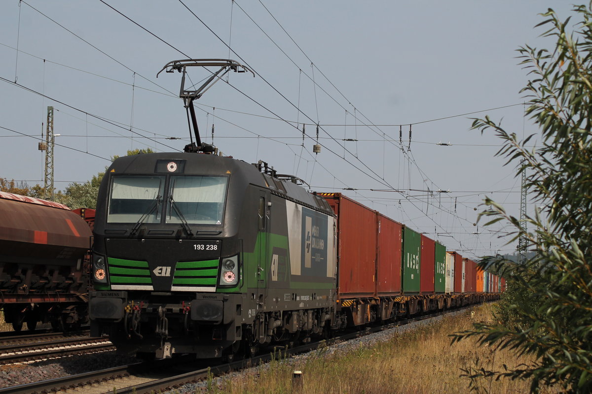 193 238 am 29.08.2018 mit einem Containerzug in Eichenberg.
