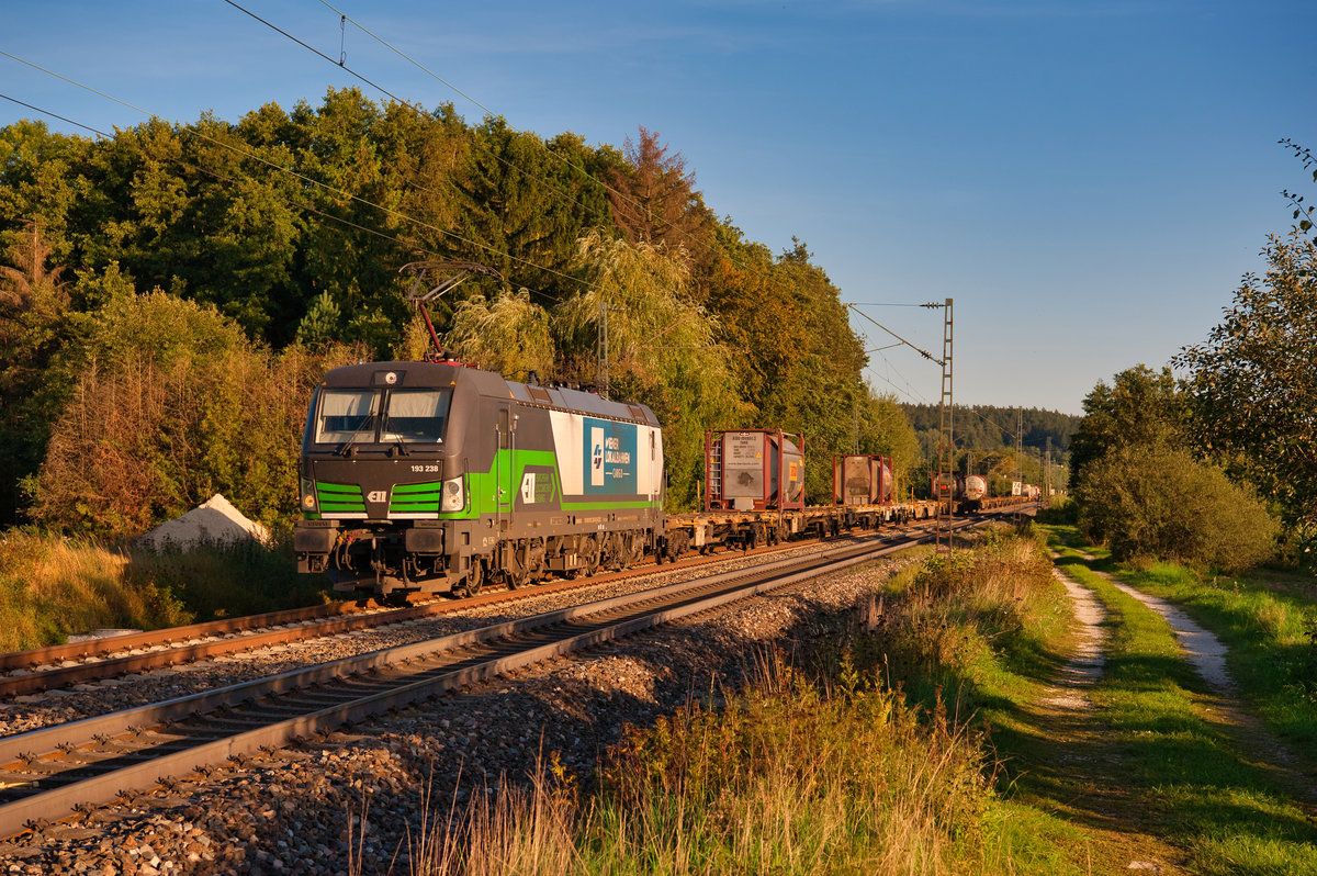 193 238 ELL/WLC mit einem KLV-Zug bei Postbauer-Heng Richtung Nürnberg, 15.09.2019