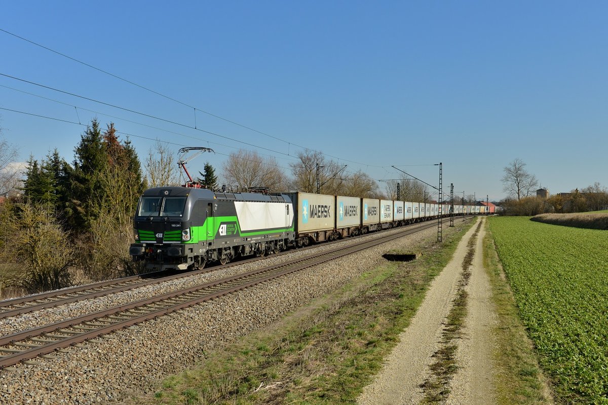 193 241 mit einem Containerzug am 22.02.2016 bei Langenisarhofen. 
