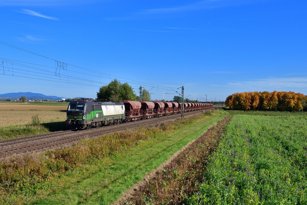 193 241 mit einem Güterzug am 13.10.2019 bei Stephansposching. 