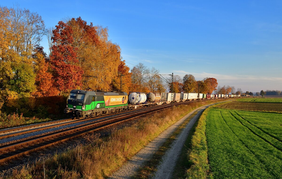 193 243 mit einem KLV am 31.10.2021 bei Langenisarhofen.