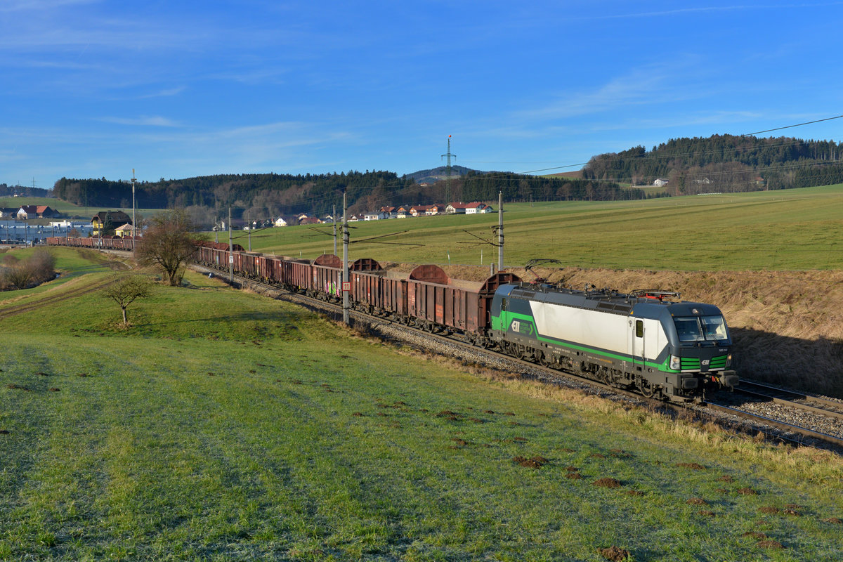 193 244 mit einem leeren Holzzug am 10.12.2016 bei Weng. 