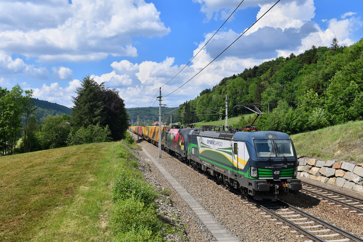 193 246 + 470 505 mit TEC 41931 am 12.05.2018 bei Wernstein am Inn. 