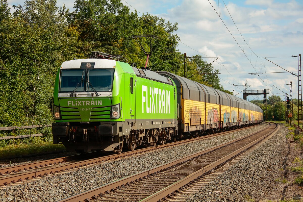 193 247 Flixtrain mit ARS-Altmann in Thüngersheim, August 2021.