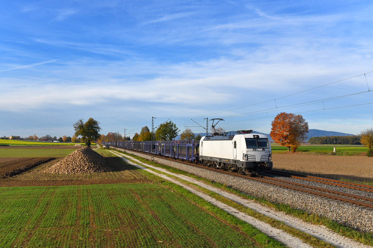 193 247 mit einem leeren Autozug am 31.10.2018 bei Langenisarhofen. 